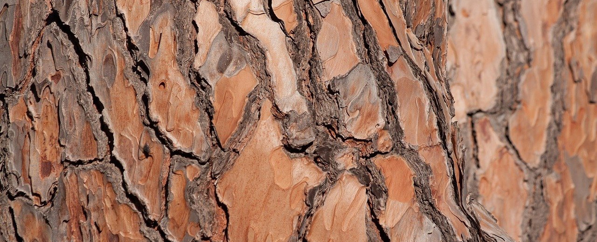 Монтаж домокомплекта "Астрид"